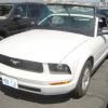 Mobile windshield service daly City